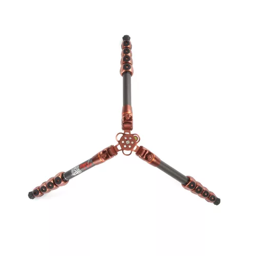 3 Legged Thing Legends Ray tripod (bronz)