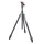 3 Legged Thing Pro 2.0 Winston karbon szálas tripod + AirHed Pro állványfej (szürke)