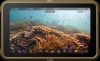 Atomos Ninja 5" HDR Kamera monitor