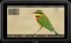 Atomos Shinobi II 5" HDMI monitor