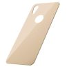 Baseus iPhone Xr T-Glass hátlapvédő fólia, 0,3mm, ívelt (arany)