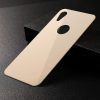 Baseus iPhone Xr T-Glass hátlapvédő fólia, 0,3mm, ívelt (arany)