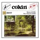 Cokin meleg szűrő - Warm (81EF) -  A037