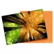 Cokin színszűrő narancs - Orange - X002
