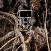 Caruba Wildcamera Moose 4K vadkamera