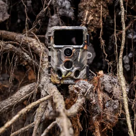 Caruba Wildcamera Moose 4K vadkamera