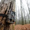 Caruba Wildcamera Moose 4K vadkamera