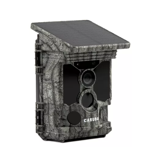 Caruba Raccoon Solar 4K napelemes vadkamera