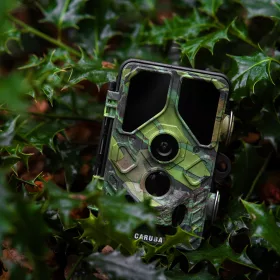 Caruba Wildcamera Toad Full HD vadkamera