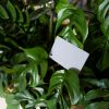 Caruba DGC 1 Gray Card/ Fehéregyensúly Állító Kártya