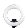 Caruba Vlogger 12" LED körlámpa szett + táska (fekete)