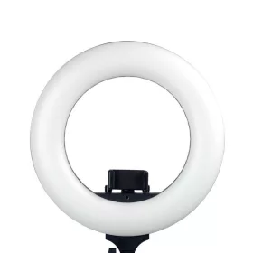   Caruba Vlogger 12" LED körlámpa szett + táska (fekete)