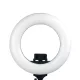 Caruba Vlogger 12" LED körlámpa szett + táska (fekete)