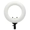 Caruba Vlogger 12" LED körlámpa szett + táska (fehér)
