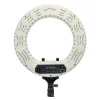 Caruba Vlogger 12" LED körlámpa szett + táska (fehér)