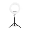 Caruba LS-50 lámpaállvány (50cm)