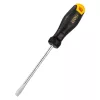 Deli Tools 5x100mm (Fekete) Hornyos Csavarhúzó (EDL6251001)