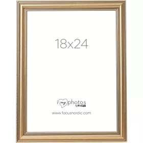 Focus Tango képkeret - Classic Gold  (18x24)