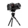 Fotopro ArtPod 190mm mini tripod [PT366]