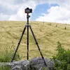 Fotopro Sherpa Max karbon tripod (szürke)