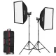 Godox SL100D LED dupla videolámpa szett
