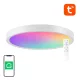 Gosund Okos Mennyezeti Lámpa 30cm WiFi/Bluetooth 16M RGBCW (LB12)