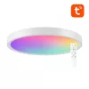 Gosund Okos Mennyezeti Lámpa 30cm WiFi/Bluetooth 16M RGBCW (LB12)