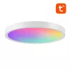 Gosund Okos Mennyezeti Lámpa 30cm WiFi/Bluetooth 16M RGBCW (LB12)