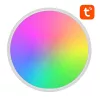 Gosund Okos Mennyezeti Lámpa 30cm WiFi/Bluetooth 16M RGBCW (LB12)