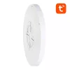 Gosund Okos Mennyezeti Lámpa 30cm WiFi/Bluetooth 16M RGBCW (LB12)