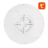 Gosund Okos Mennyezeti Lámpa 30cm WiFi/Bluetooth 16M RGBCW (LB12)