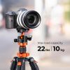 K&F Concept Alumínium Kameraállvány/Tripod + Gömbfej (O254A1+BH-28L) - 160cm