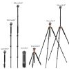 K&F Concept Alumínium Kameraállvány/Tripod + Gömbfej (O254A1+BH-28L) - 160cm