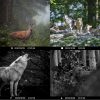 K&F Concept 1080p 20MP Vadász-Kamera - Éjjel-látó 0,2S IP66 Wildlife Camera