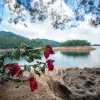Laowa 10mm F4 Cookie ultrakompakt nagylátószögű kamera objektív (ezüst) - Nikon Z
