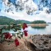 Laowa 10mm F4 Cookie ultrakompakt nagylátószögű kamera objektív (fekete) - Sony E