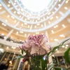 Laowa 12-24mm f/5.6 zoom Sony FE kamera objektív