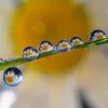 Laowa 85mm f/5.6 2X Ultra Macro APO makró kamera objektív - Sony FE