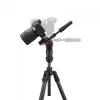 Manfrotto Befree GT karbon állvány tekerős zár +3D live fotó/videó fej