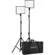 NANLITE LUMIPAD 25 LED 2 LÁMPÁS Kit ÁLLVÁNNYAL + TÁSKA