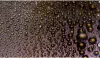 NiSi Nano Horizon ND16 szűrő - 100x150mm