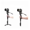 Nest Monopod videó fejjel (NT-329M)