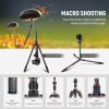NEEWER N55C Carbon Fiber Kamera Utazó-állvány / Szénszálas Tripod (195cm)