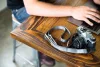Peak Design Leash Kamera Vállpánt - Szürke