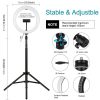 PULUZ 26cm RGB Színes LED Körfény körlámpa Ringlight 