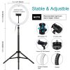 PULUZ 30cm LED Körfény körlámpa Ringlight