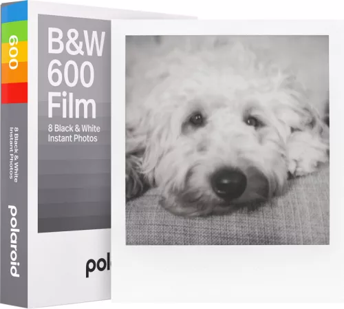 Polaroid 600 fekete-fehér film