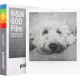 Polaroid 600 fekete-fehér film