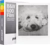 Polaroid 600 fekete-fehér film