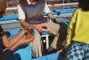 Polaroid szűrő készlet (Polaroid Go fényképezőgép) - 3 darabos csomag